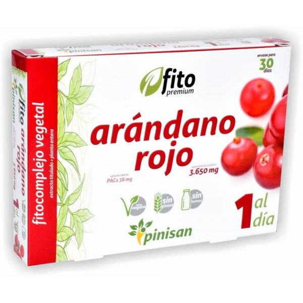 ARANDANO ROJO PINISAN