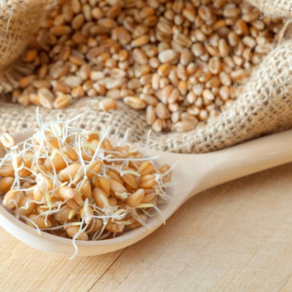 GERMEN DE TRIGO EN BOLSA 400 GR. HIJAS DEL SOL