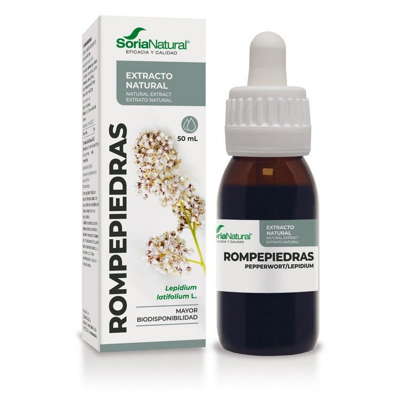 El Extracto Fluido de Rompepiedras (Phyllanthus niruri) de Soria Natural se utiliza tradicionalmente para apoyar la salud del sistema urinario.