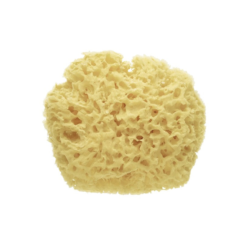 Esponja extra suave 100% natural. Ideal para la delicada piel de tu bebé en sus primeros baños.